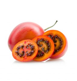 TOMATE DE ARBOL